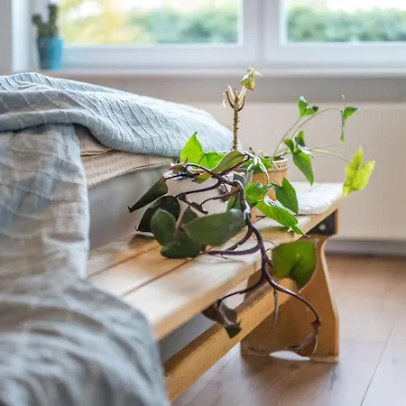 120Qm, Cozy Apartment, Sehr Zentral Am Hbf, 3Sz Koblenz  Buitenkant foto